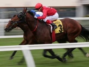 Iconoclasm earns Stradbroke Hcp campaign