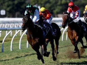 Addictive Nature set for Caulfield return