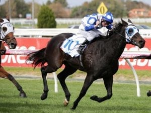 Ocean Deep goes one better at Caulfield