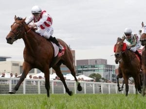 Super Seth impresses in Caulfield victory