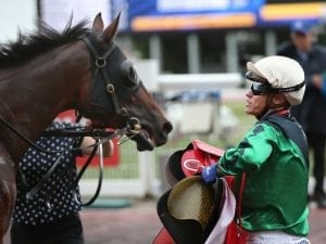 Silent Sedition ready for Sydney G1 race