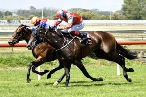 Tiley saddles two in defence of Easter crown