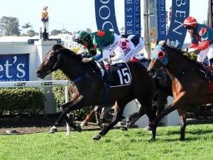 Doomben passes first winter test