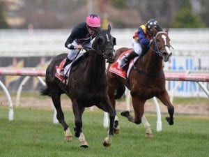 Freedman team warms up for Brisbane winter