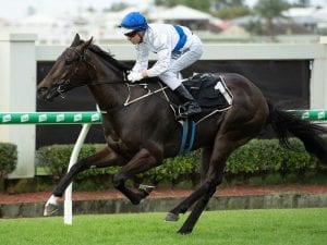 Key Doomben barrier trials abandoned