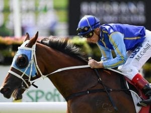 Sir Barnabus earns Gold Coast Cup start