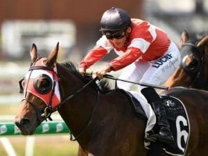 Famous racing colours salute at Eagle Farm