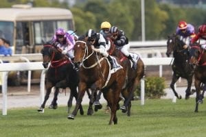 Cruz's Exultant ready QEII Cup