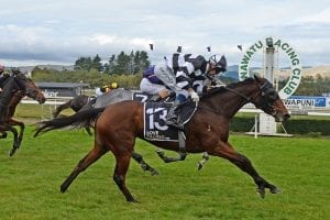 Gutsy Fiscal Fantasy takes out Manawatu Breeders’ Stakes