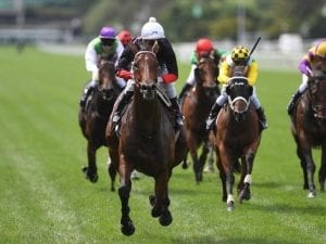 Quilista romps to Sapphire Stakes victory