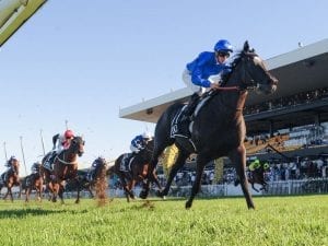 Winx clash ruled out for in-form Avilius