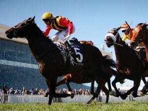 Spirit of Boom to stand for Qld record fee