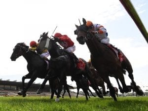 Secret Blaze on a path towards SA Derby