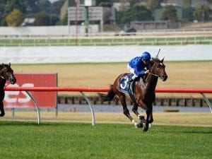 Punters feel pinch in Chenier Sandown loss