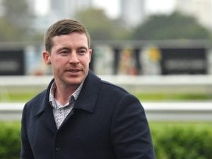 Trainer Ben Currie gets further stay