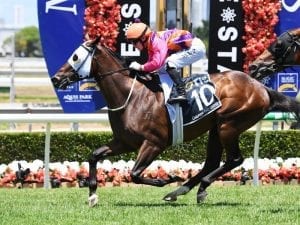 Stradbroke Handicap hopefuls set to clash