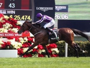 Highland Reel to stand at Swettenham