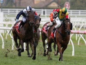 Kinane pays tribute to Giants Causeway