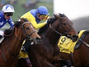 Marmelo a winner on Newbury return