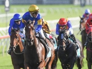 Santa Ana Lane on track for Hong Kong trip