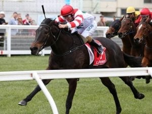 Miss Siska in Sydney in hope of G1 start