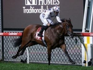 Sunlight to head to Adelaide Group 1 race