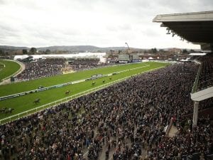 Cheltenham Festival