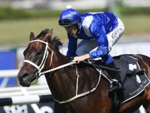 Nine rivals for Winx in Queen Elizabeth