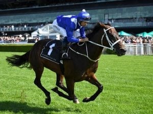 Winx to start from outside gate in QE