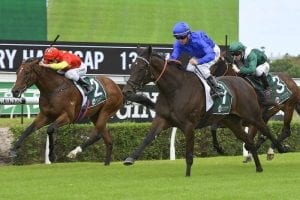 Gododdin off the mark for Godolphin