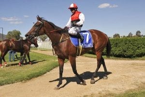 First city winner for apprentice Williams