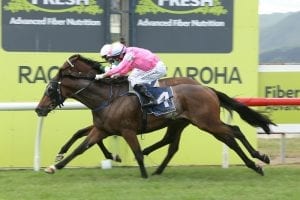 Highlad takes out Te Aroha Cup Enigmatic stayer