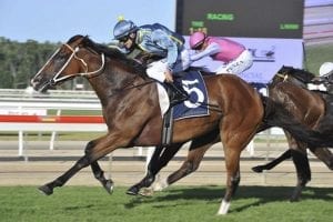 Just Dreaming heads Lees Provincial bid