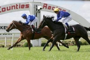 Local filly opens the day with a win at Pukekohe