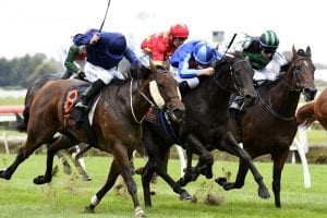 Stakes trial produces thrilling finish