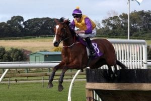 Training pair Chime in with jumps win across Tasman