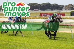 Mornington market movers for Monday, April 16