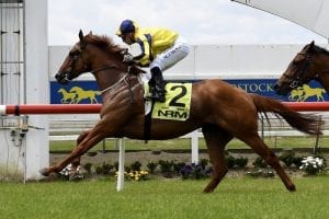 Nirvana In Fire ready to rock in resumption at Rotorua