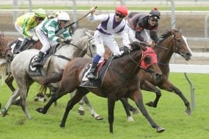 Hennessy’s racing travels to continue