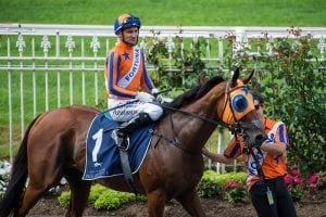 Owners reject offer for Melody Belle