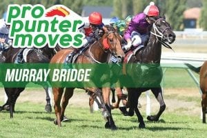 Murray Bridge market movers for Wednesday, April 18