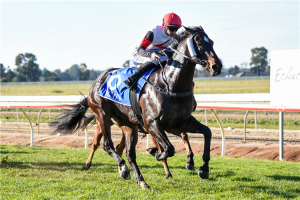 Prince Of Helena wins the 2022 Gundagai Cup