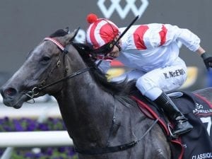 Classique Legend bounces back at Randwick