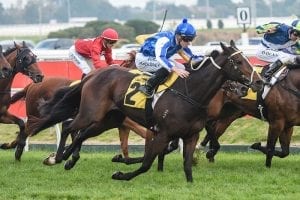 Moloney pushing Rich Charm Goodwood dream