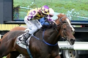 Sacred Rhythm at Manawatu