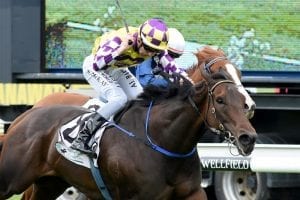 Sacred Rhythm on song for Group 2 Easter Handicap