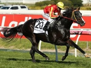 Trainer wants rain delay for speedster