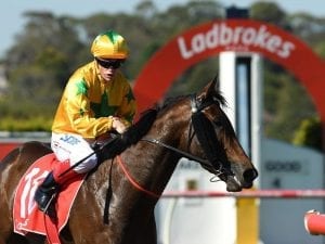 Vitani produces the goods with Sandown win