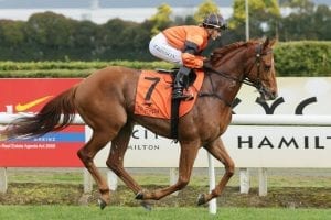 Trainer Optimistic about Simply's future