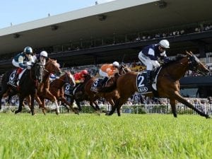 Almandin with chance to add Sydney Cup